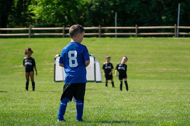 阶段的思考 阶段的思考