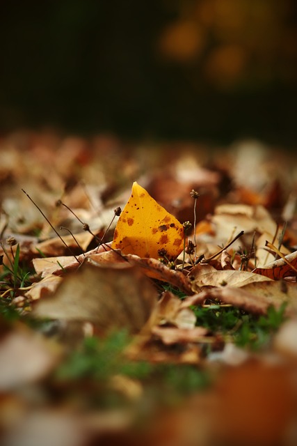 麥肯從小就 麥肯從小就